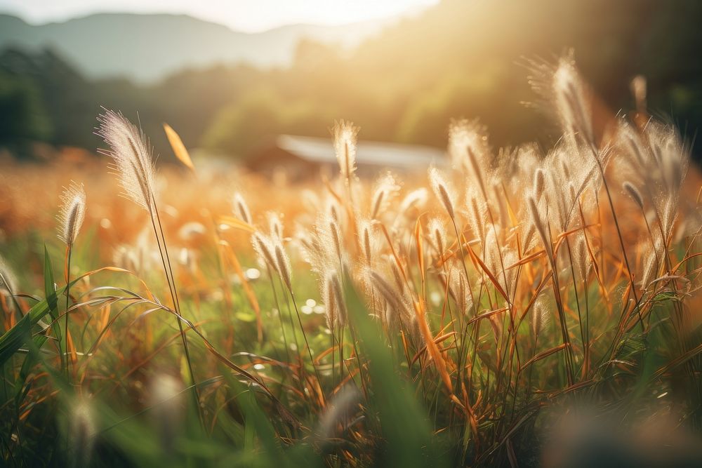 Grassland scenery grassland landscape sunlight. AI generated Image by rawpixel.
