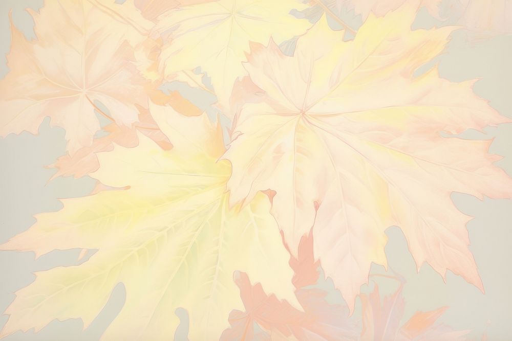 Maple leaf backgrounds sketch plant. AI generated Image by rawpixel.