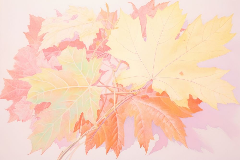 Maple leaf backgrounds drawing sketch. AI generated Image by rawpixel.