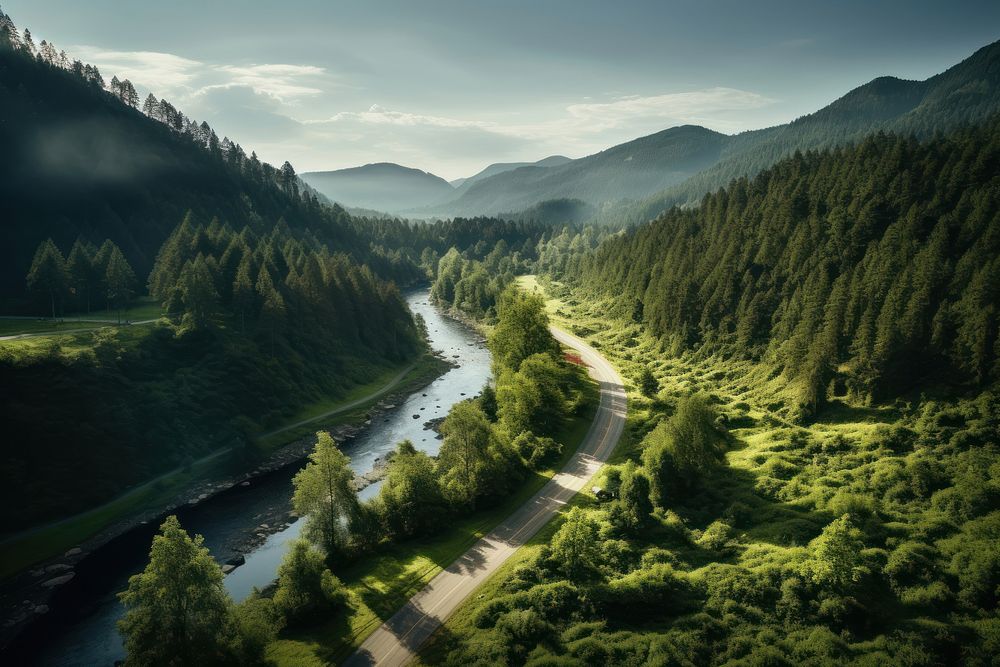Pine tree mountain road nature river outdoors. AI generated Image by rawpixel.