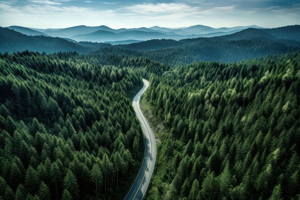 Pine tree mountain road nature outdoors woodland. AI generated Image by rawpixel.