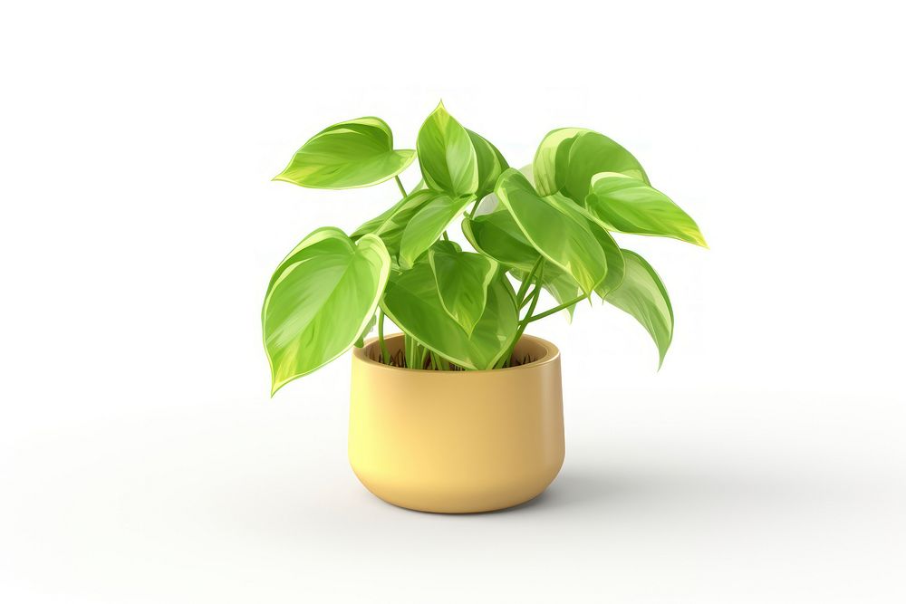 Golden pothos plant leaf white background. AI generated Image by rawpixel.