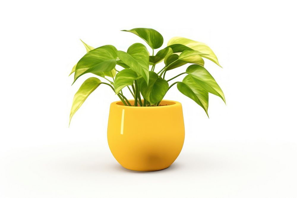 Golden pothos plant vase leaf. AI generated Image by rawpixel.