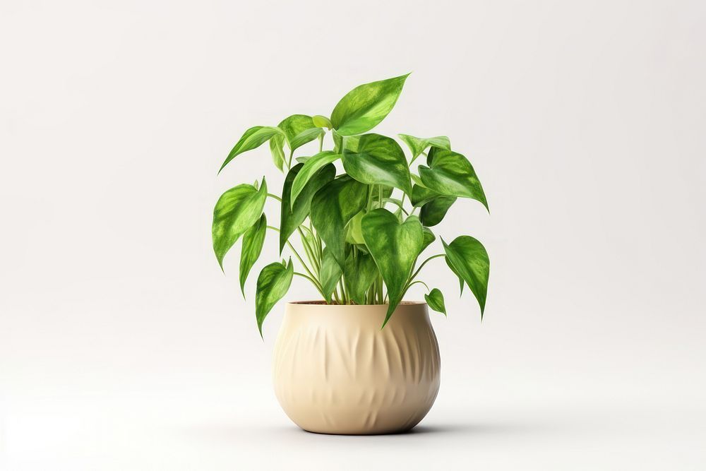 Golden pothos plant leaf vase. AI generated Image by rawpixel.