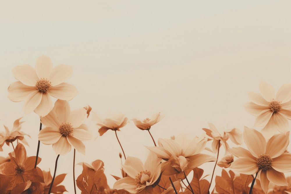 Aesthetic flower backgrounds outdoors. AI generated Image by rawpixel.