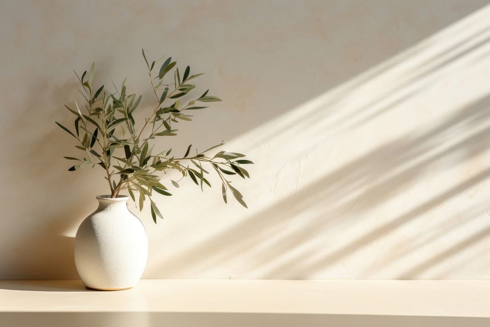Aesthetic plant sunlight shadow. AI generated Image by rawpixel.