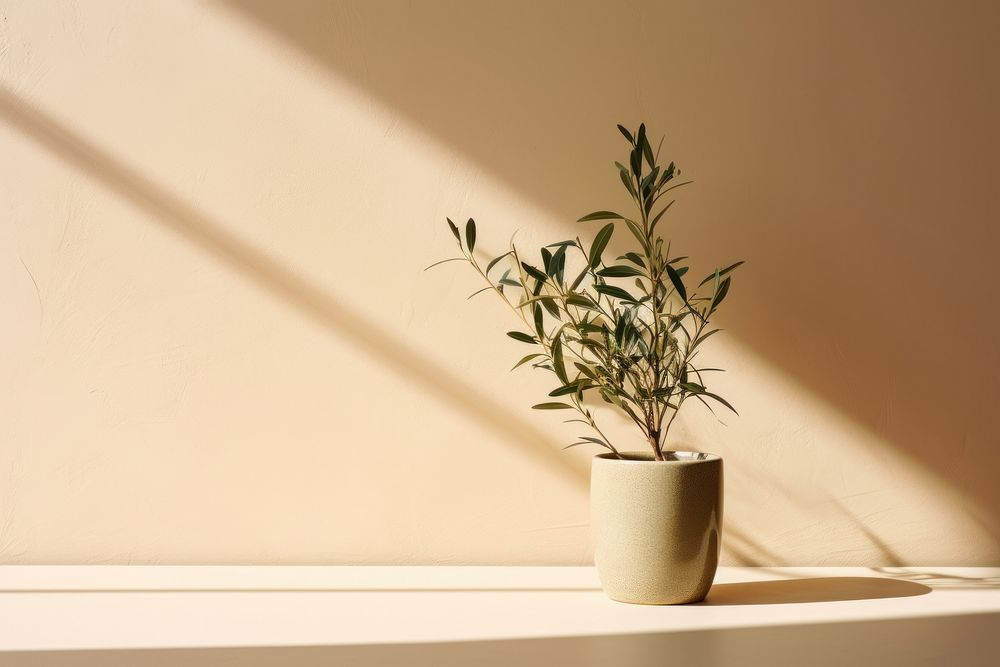 Aesthetic plant windowsill sunlight. AI generated Image by rawpixel.