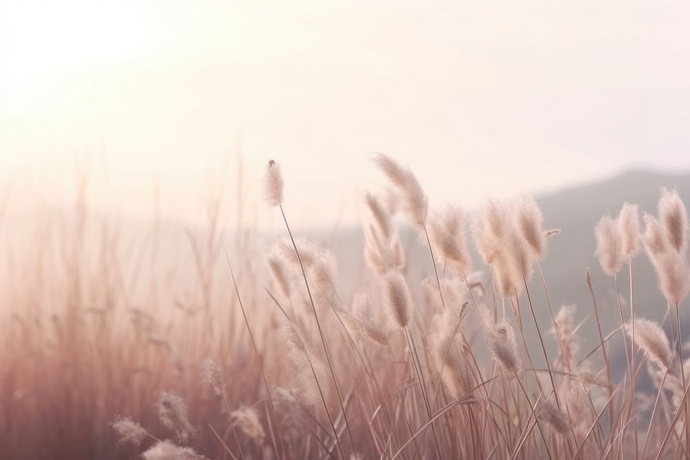 Aesthetic nature grass sky. AI generated Image by rawpixel.
