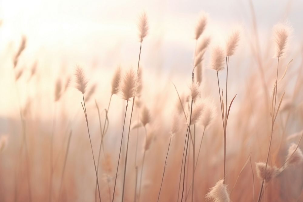 Aesthetic nature grass backgrounds. AI generated Image by rawpixel.