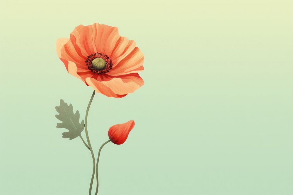 Poppy flower plant petal. AI generated Image by rawpixel.