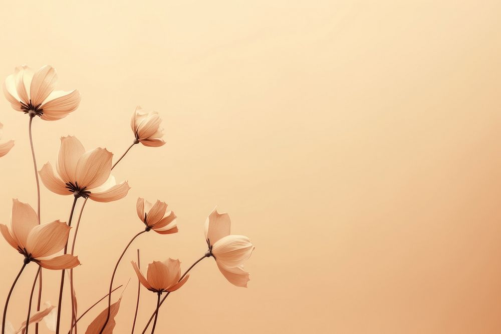 Aesthetic flower outdoors nature. AI generated Image by rawpixel.