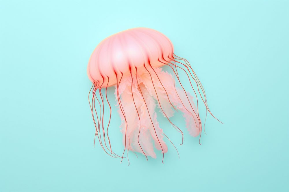 Jellyfish animal invertebrate cephalopod. AI generated Image by rawpixel.