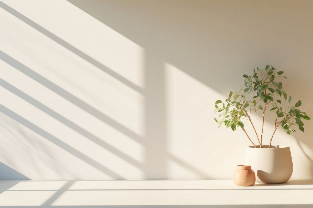 Clean minimal empty room windowsill shadow plant. AI generated Image by rawpixel.