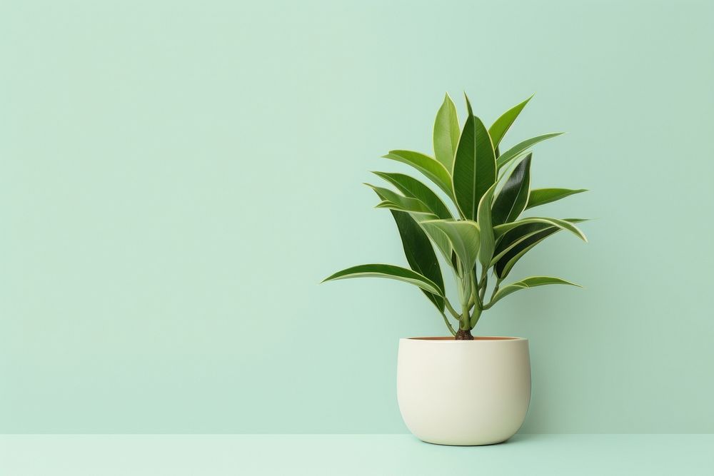 Houseplant leaf freshness flowerpot. AI generated Image by rawpixel.