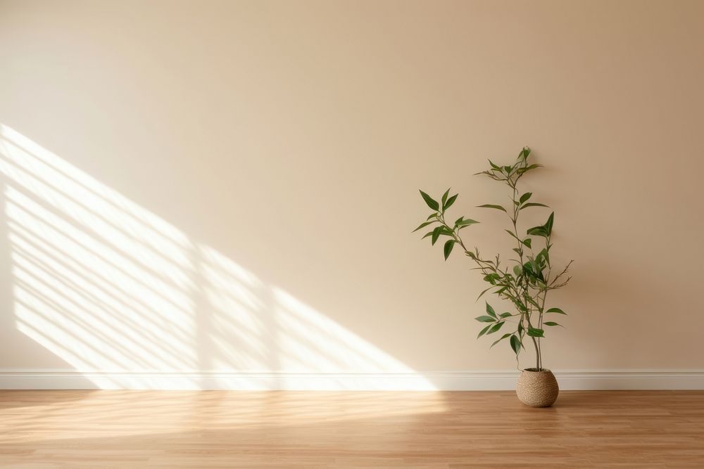 Korean architecture shadow floor. AI | Free Photo - rawpixel