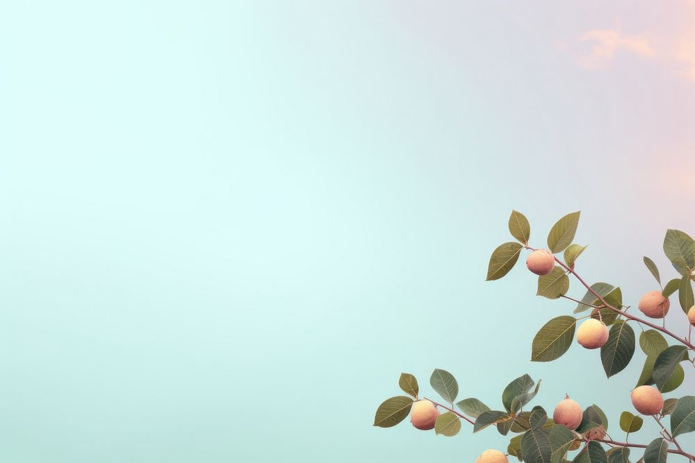 Pastel background nature backgrounds outdoors. AI generated Image by rawpixel.