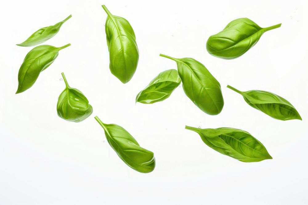 Basil leaves vegetable spinach plant. AI generated Image by rawpixel.