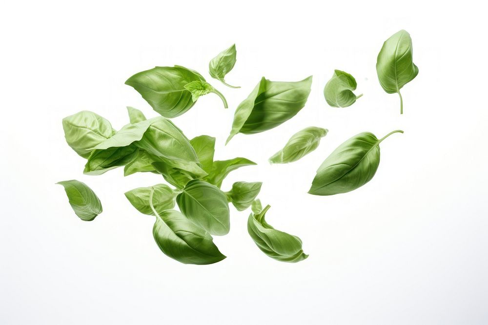 Basil leaves plant herbs leaf. AI generated Image by rawpixel.