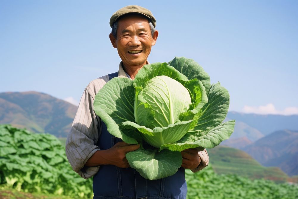 Happy asian farmer cabbage vegetable portrait. AI generated Image by rawpixel.