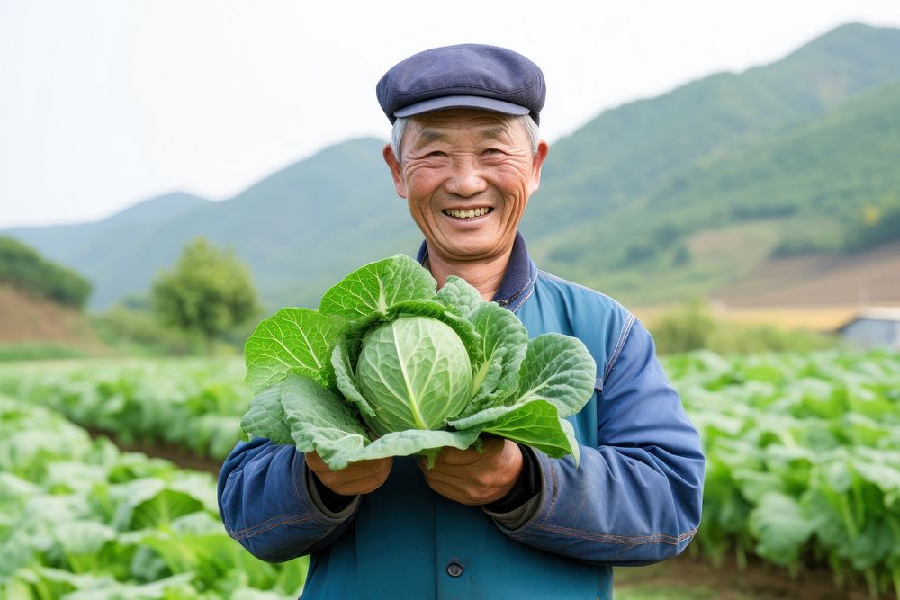 Happy asian farmer vegetable portrait cabbage. AI generated Image by rawpixel.