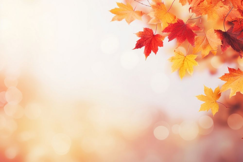 Soft focus light autumn backgrounds leaves. AI generated Image by rawpixel.