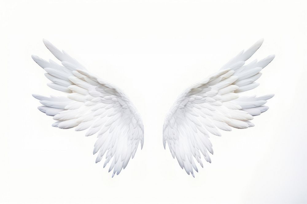 Pair of angel wings flying white white background. AI generated Image by rawpixel.