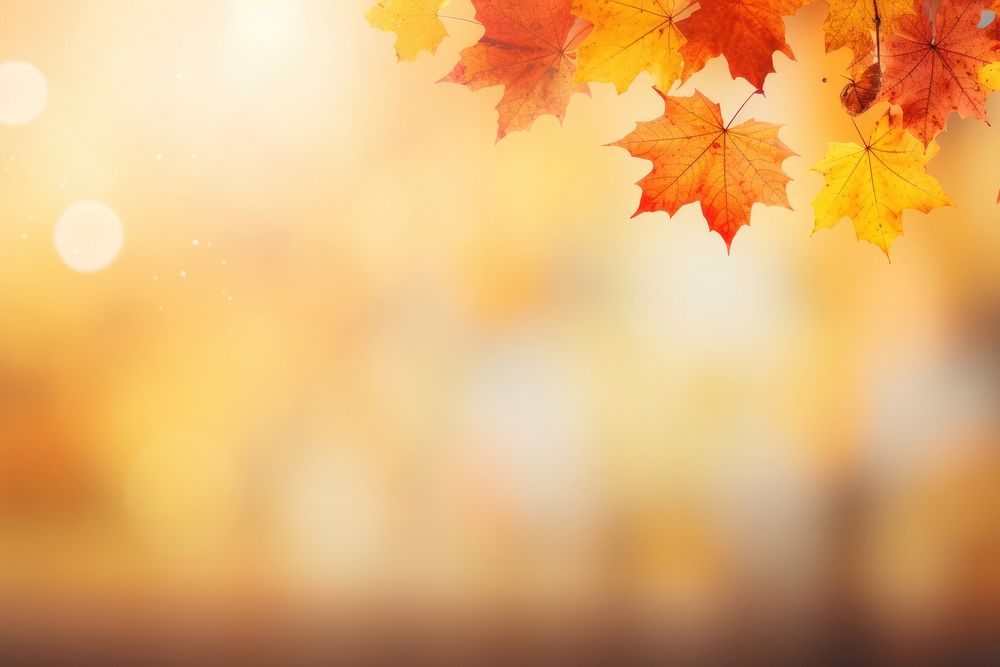 Red and yellow maple leaves backgrounds sunlight autumn. AI generated Image by rawpixel.