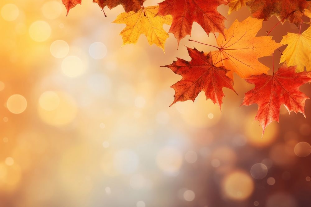 Red and yellow maple leaves backgrounds autumn plant. AI generated Image by rawpixel.