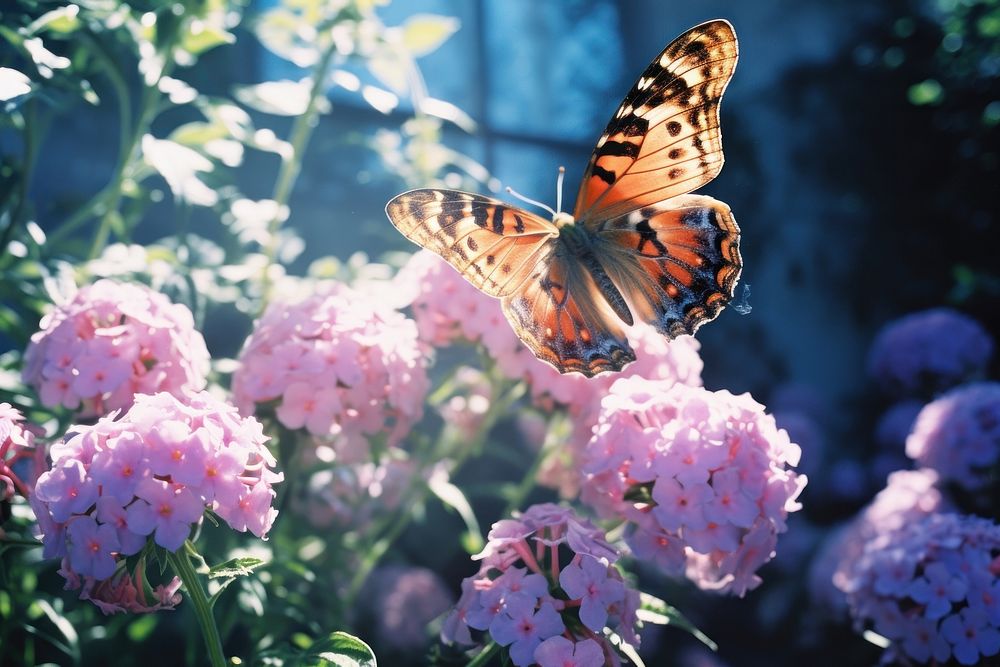 A butterfly in a flower garden outdoors blossom nature. AI generated Image by rawpixel.