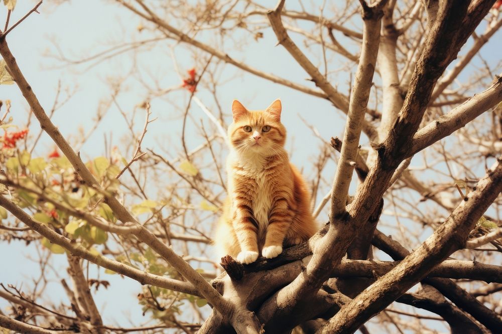 A cat on the tree animal mammal kitten. AI generated Image by rawpixel.