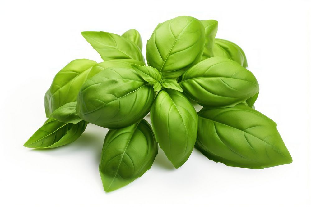 Basil vegetable plant herbs. AI generated Image by rawpixel.
