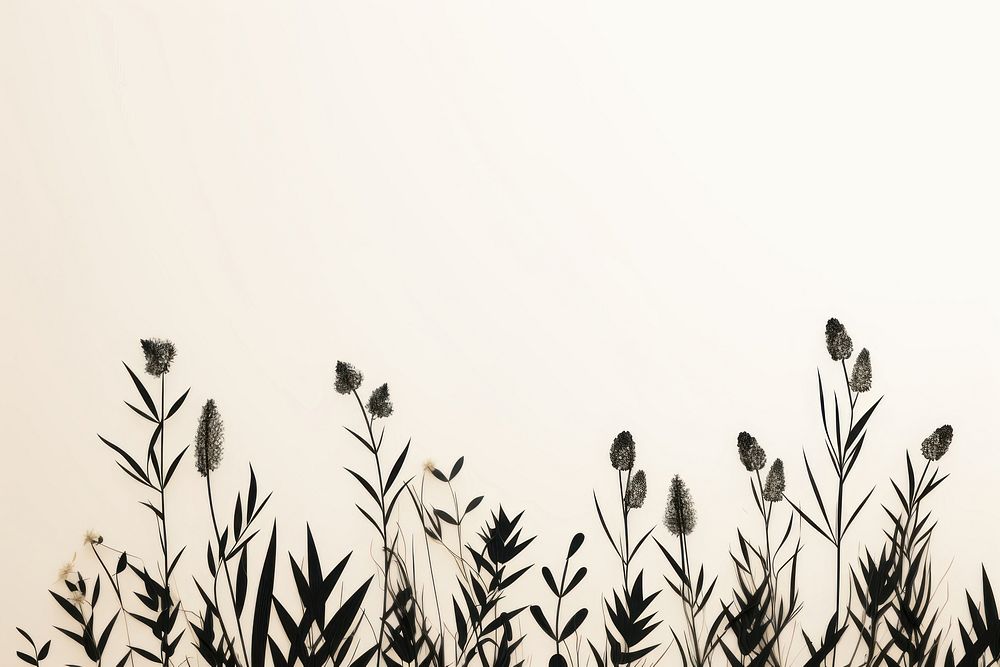 Plants border silhouette backgrounds outdoors. AI generated Image by rawpixel.