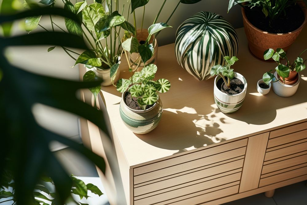 Houseplants furniture table leaf. AI generated Image by rawpixel.
