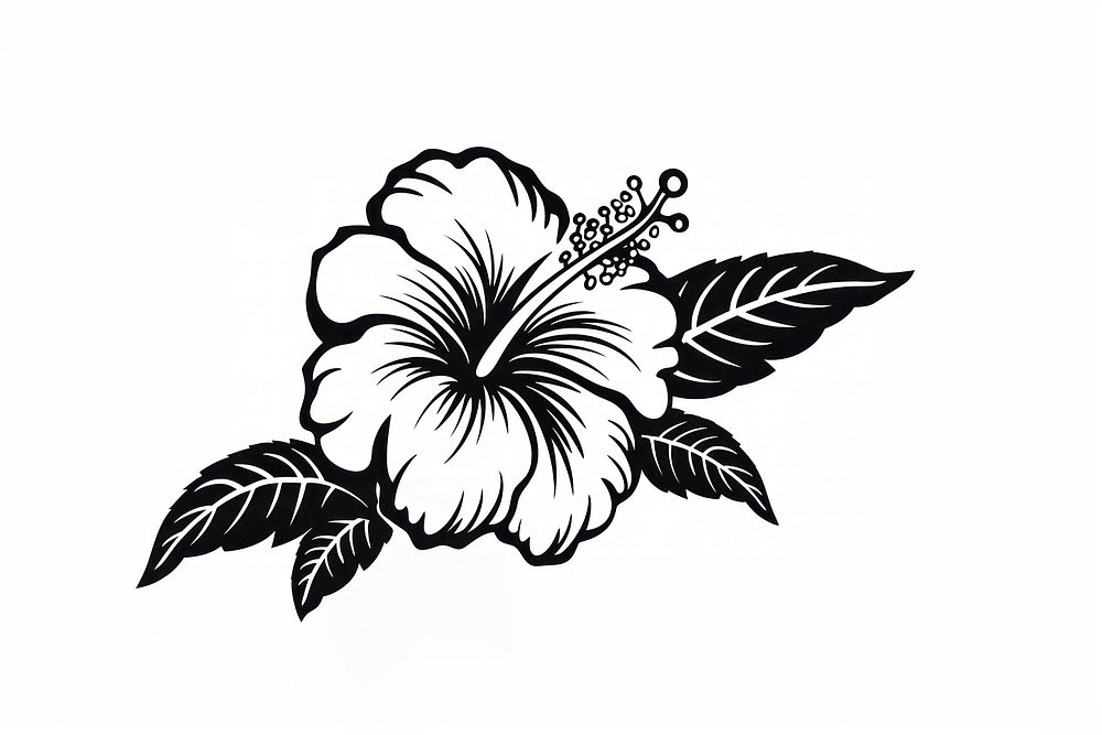 Hibiscus hibiscus drawing flower. AI generated Image by rawpixel.