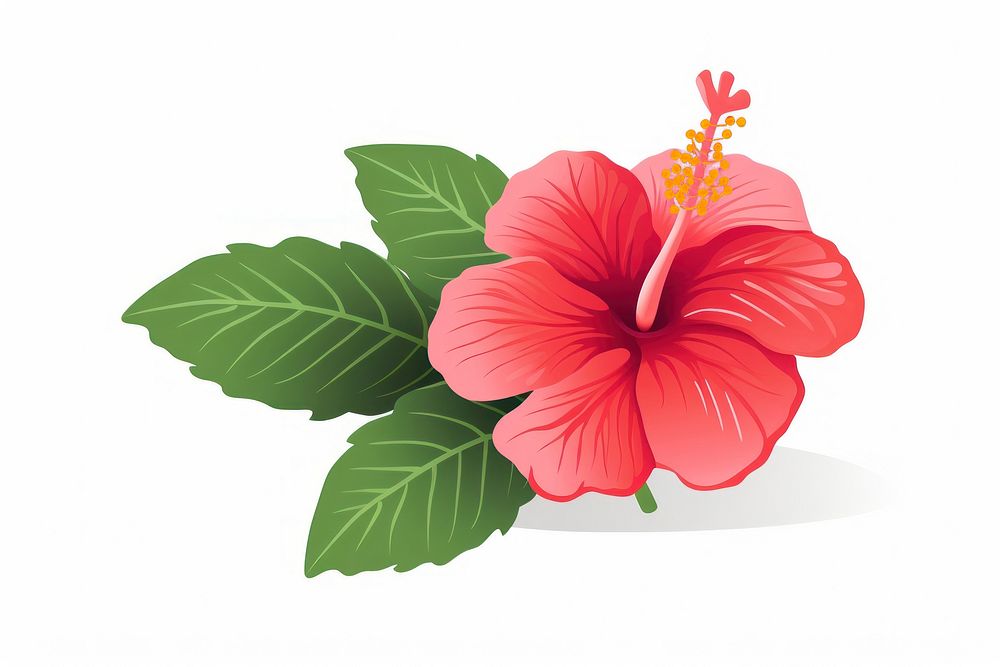 Hibiscus hibiscus flower plant. AI generated Image by rawpixel.