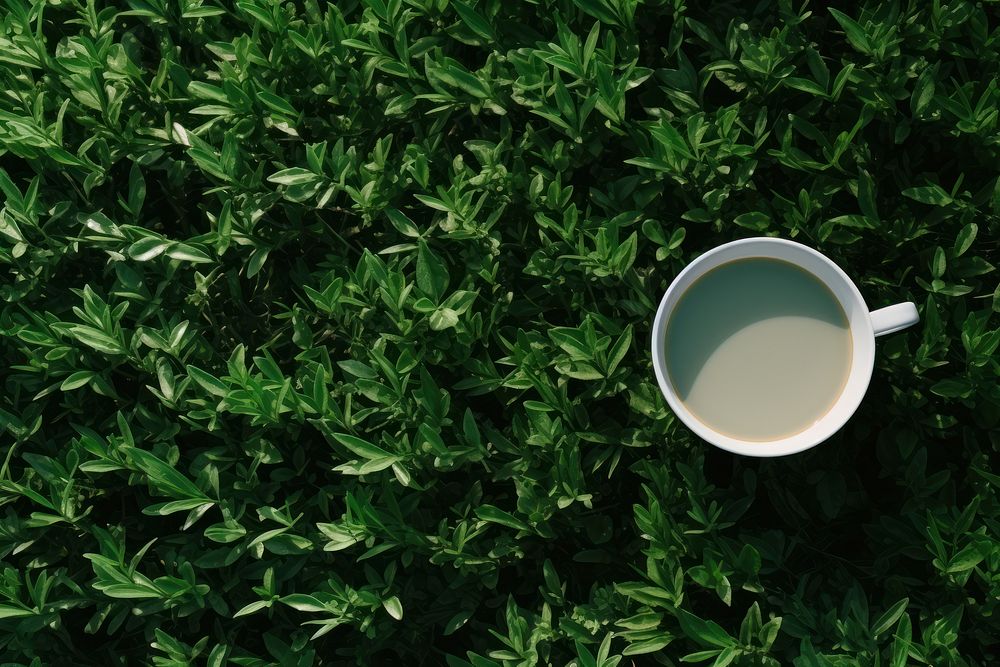 Tea backgrounds coffee nature. AI generated Image by rawpixel.