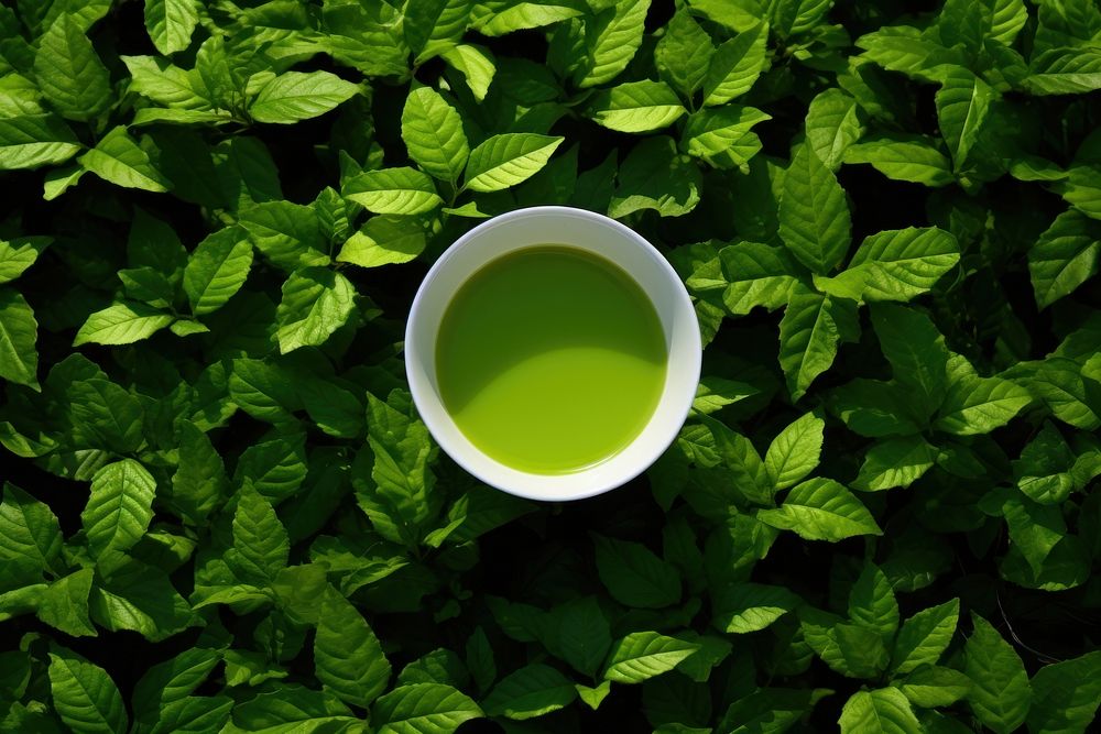 Tea drink plant green. AI generated Image by rawpixel.