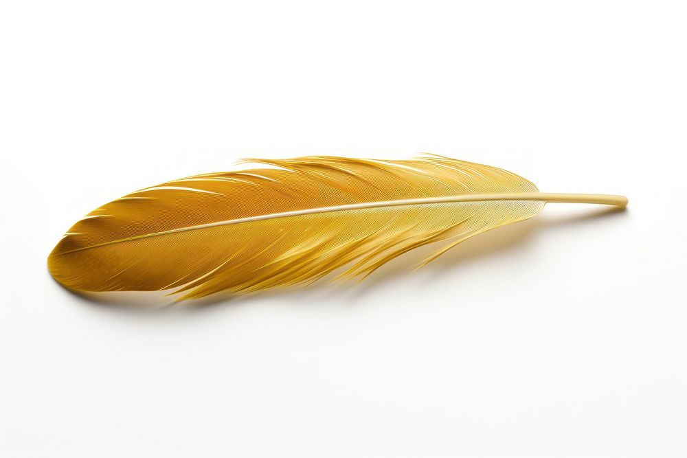 Feather yellow gold white background. AI generated Image by rawpixel.