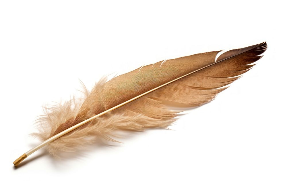 Feather white background lightweight accessories. AI generated Image by rawpixel.