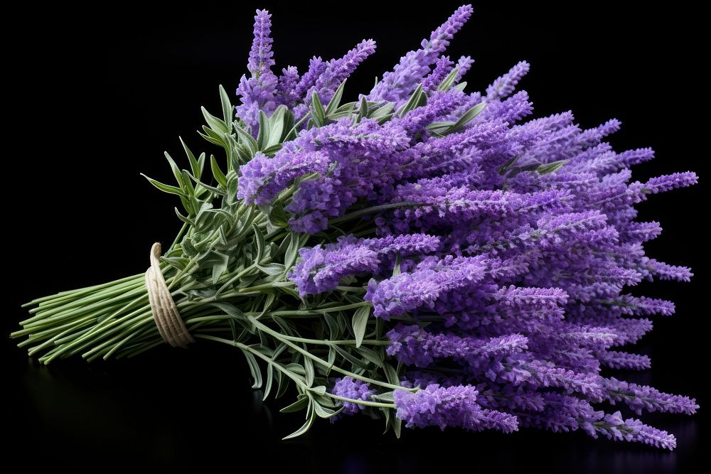 Lavender bouquet flower purple plant. AI generated Image by rawpixel.