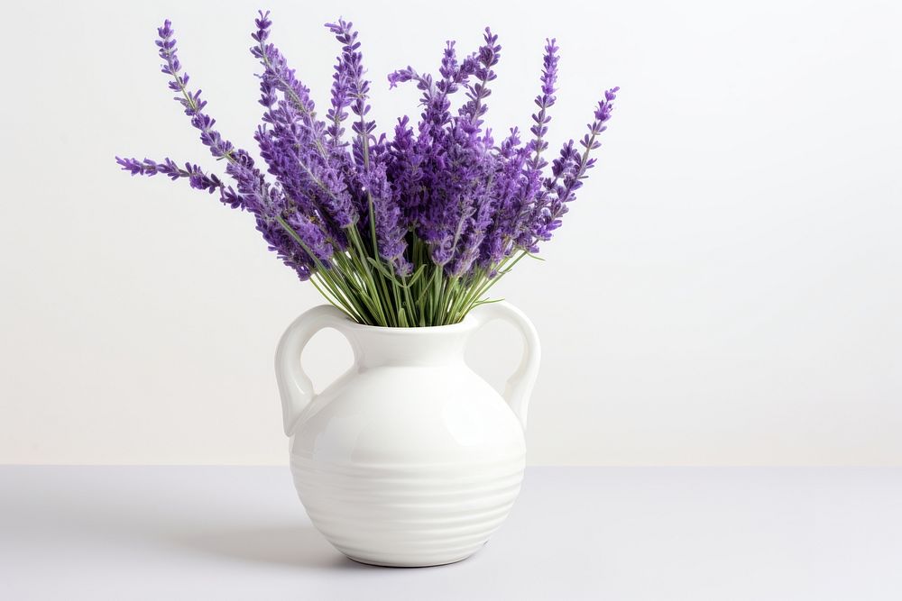 Lavender in vase blossom flower plant. AI generated Image by rawpixel.