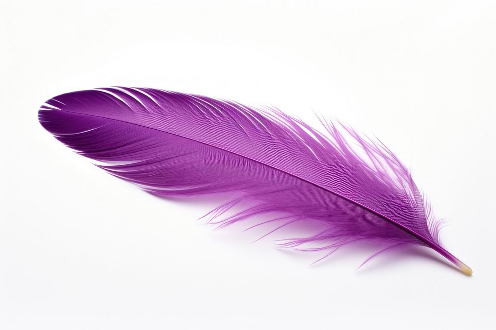 Feather purple white background lightweight. AI generated Image by rawpixel.