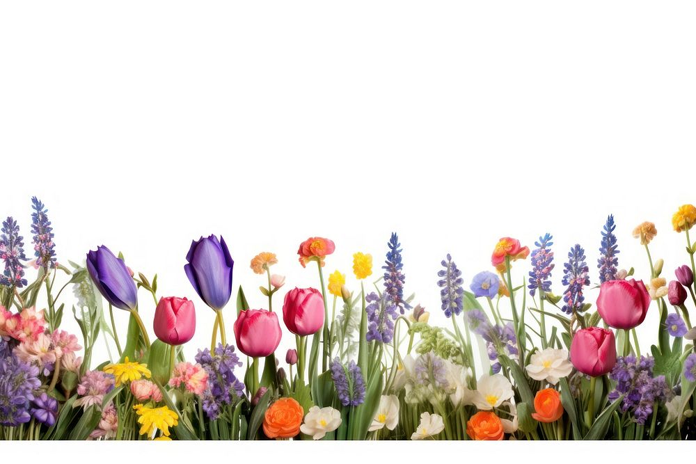 Spring floral outdoors blossom flower. AI generated Image by rawpixel.