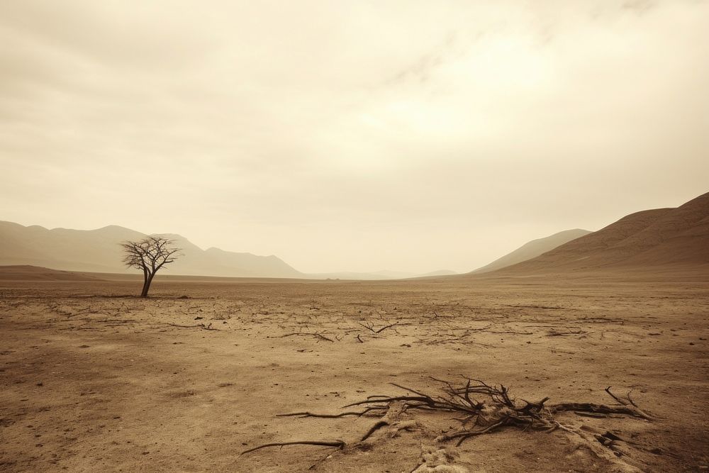 Barren land landscape outdoors nature. AI generated Image by rawpixel.