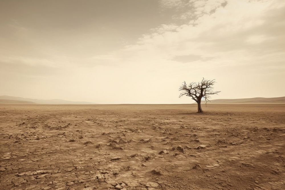 Barren land outdoors horizon nature. AI generated Image by rawpixel.