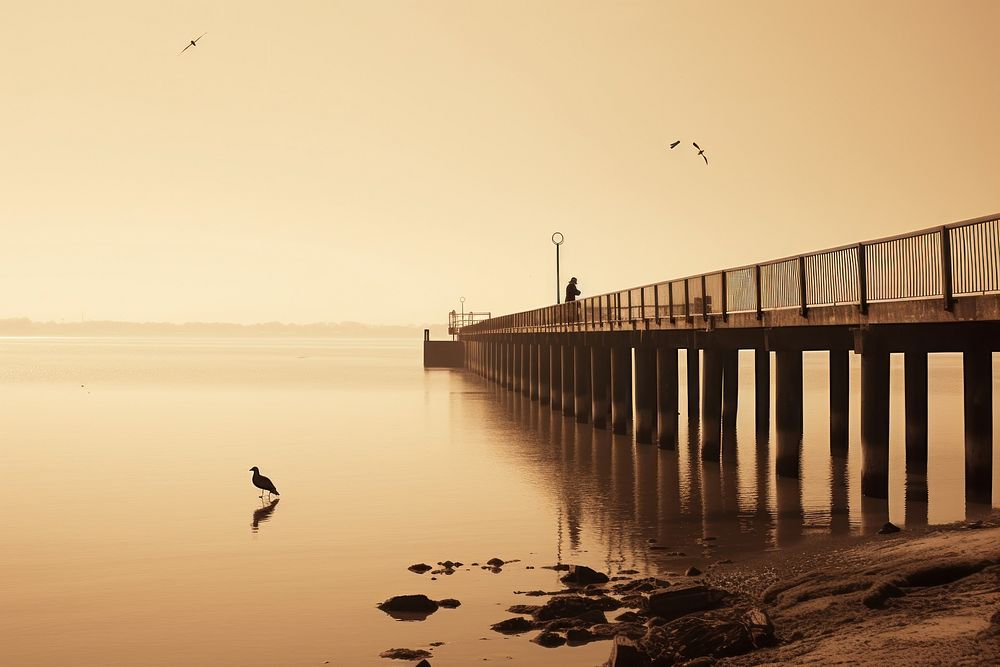Bay outdoors nature bridge. AI generated Image by rawpixel.