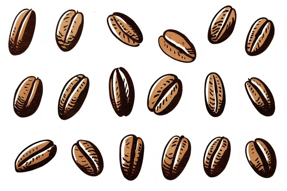 Coffee beans white background freshness vegetable. AI generated Image by rawpixel.