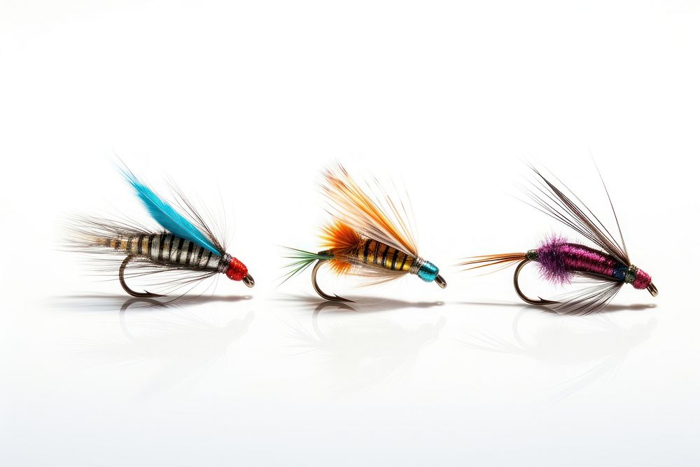 Fly fishing insect white background invertebrate. AI generated Image by rawpixel.