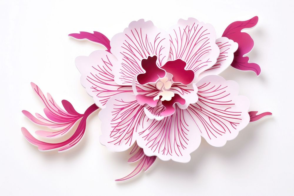 Orchid flower petal plant white background. AI generated Image by rawpixel.