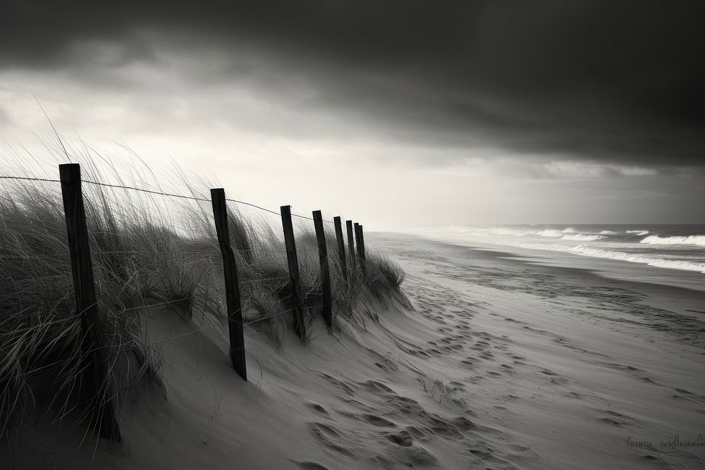 Beach outdoors nature coast. 